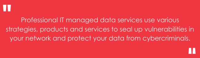 Professional IT managed data services use various strategies, products and services to seal up vulnerabilities in your network and protect your data from cybercriminals.