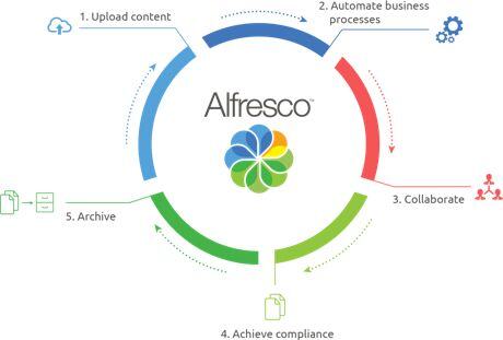 Document Management System Examples: DocuWare, M-Files & more